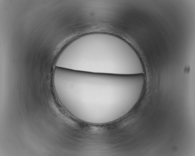 X0000111130442200906301109
