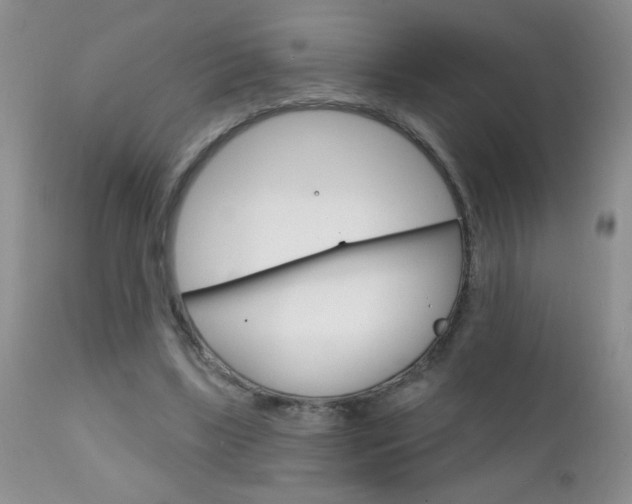 X0000111130443200906301109