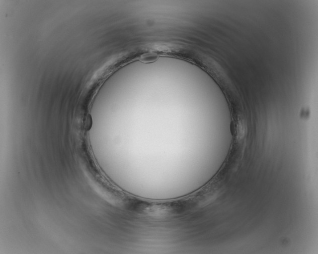 X0000111130444200906301109