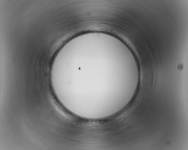 X0000111130445200906301109
