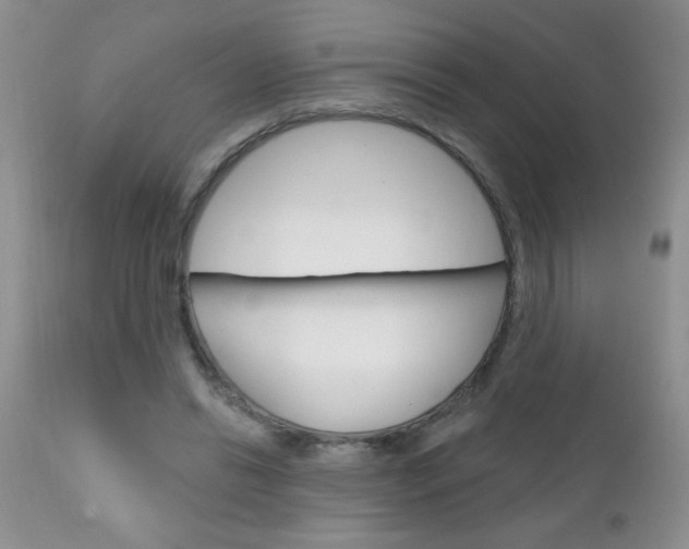 X0000111130446200906301109