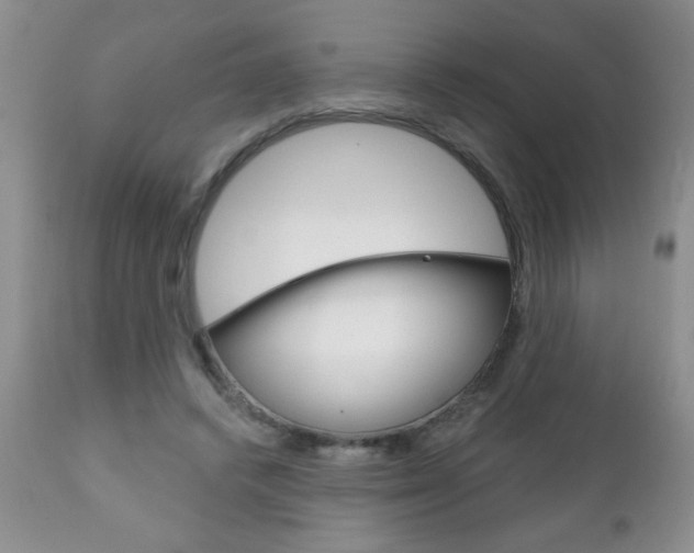 X0000111130448200906301109