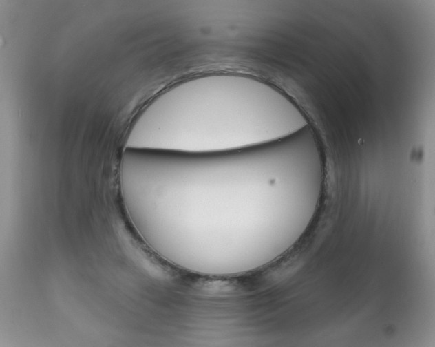 X0000111130449200906301109