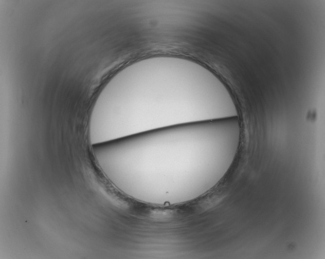 X0000111130450200906301109