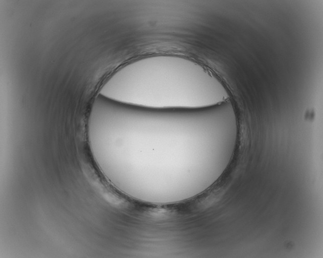 X0000111130453200906301109