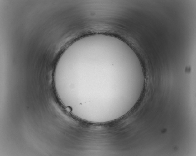 X0000111130454200906301109