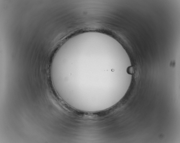 X0000111130455200906301109
