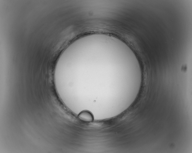 X0000111130457200906301109