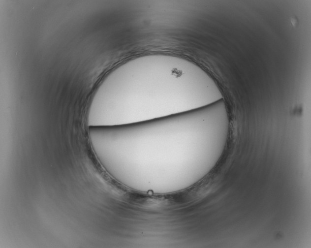 X0000111130458200906301109