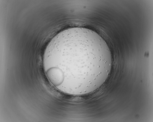 X0000111130459200906301109