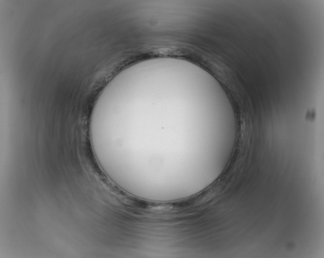 X0000111130461200906301109