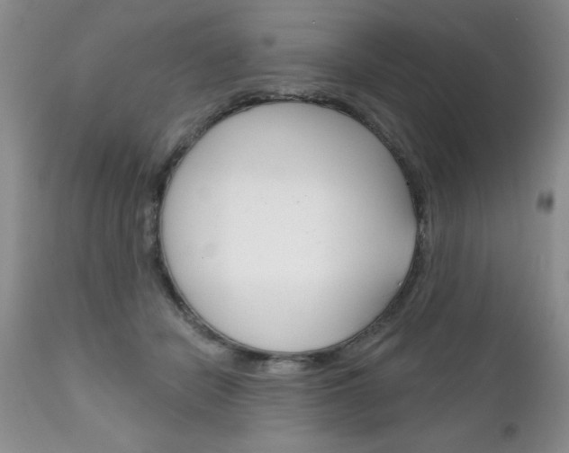 X0000111130462200906301109