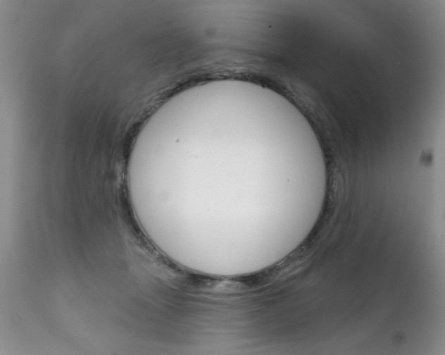 X0000111130463200906301109
