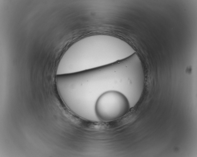 X0000111130466200906301109