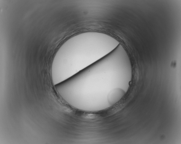 X0000111130467200906301109