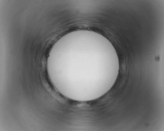 X0000111130468200906301109