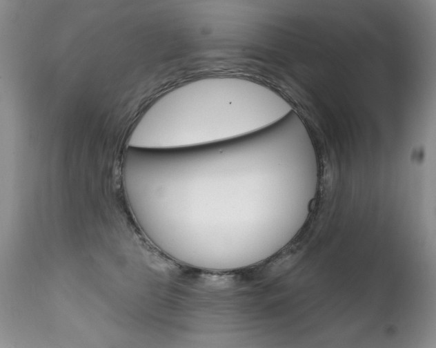 X0000111130469200906301109