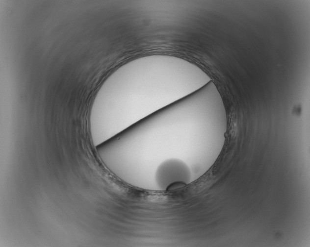 X0000111130471200906301109