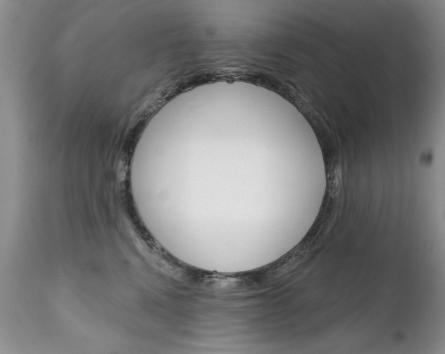 X0000111130472200906301110