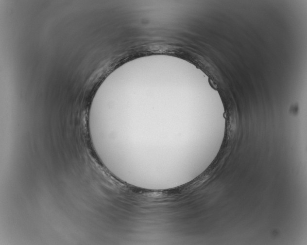 X0000111130473200906301110