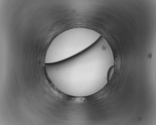 X0000111130474200906301110