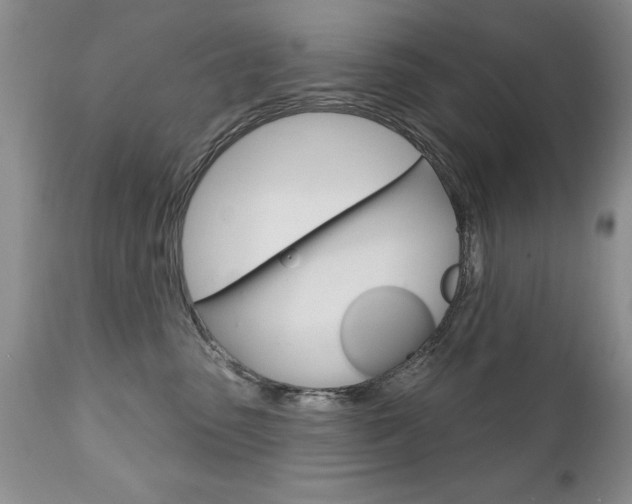 X0000111130475200906301110