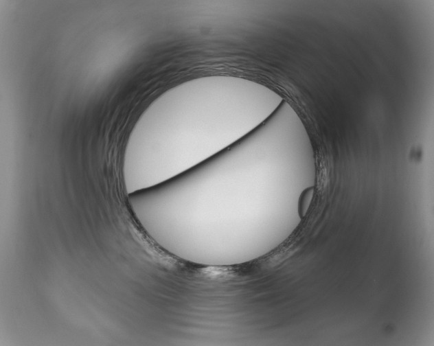 X0000111130477200906301110