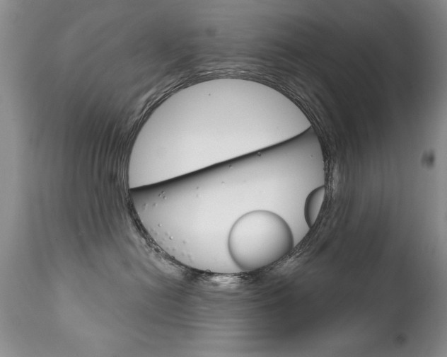 X0000111130478200906301110