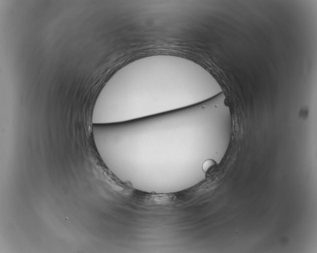 X0000111130479200906301110