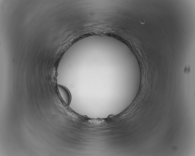 X0000111130480200906301110