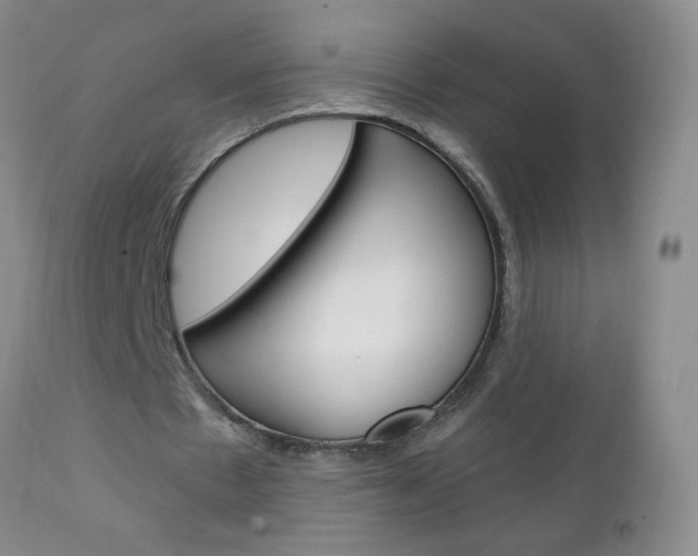 X0000111130481200906301109