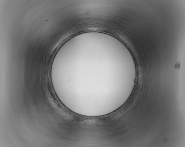 X0000111130482200906301109