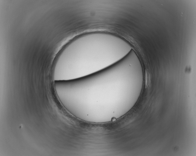 X0000111130483200906301109