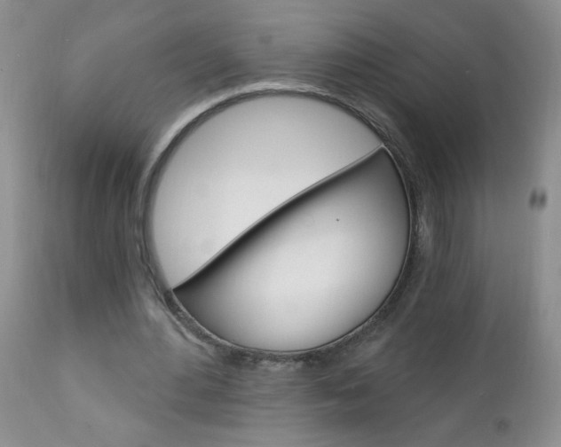 X0000111130484200906301109