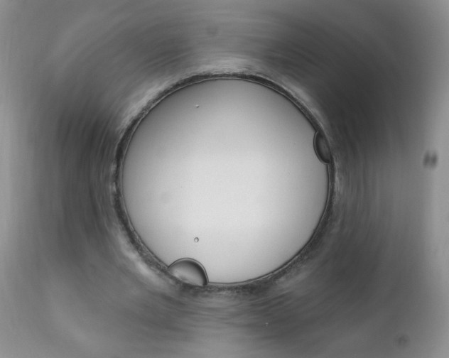 X0000111130485200906301109