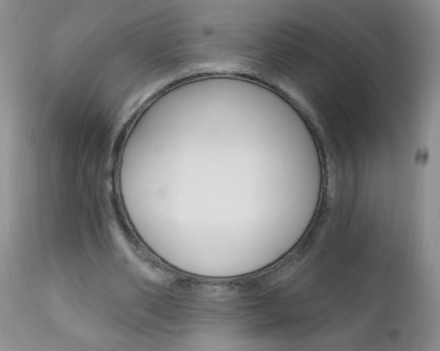 X0000111130486200906301109