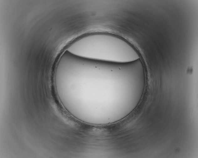 X0000111130487200906301109