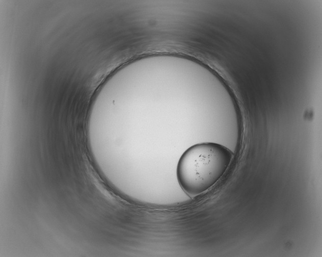 X0000111130489200906301109