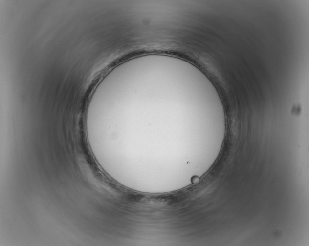 X0000111130491200906301109