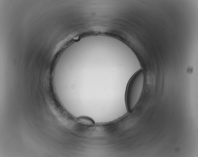 X0000111130492200906301109