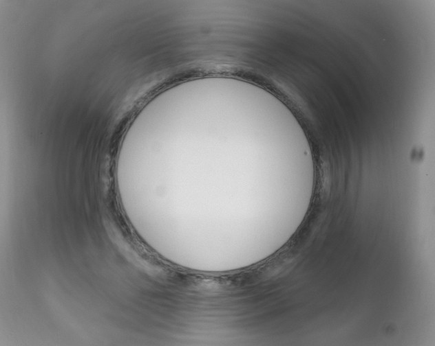 X0000111130494200906301109
