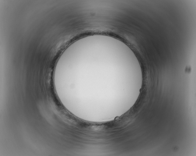 X0000111130495200906301109
