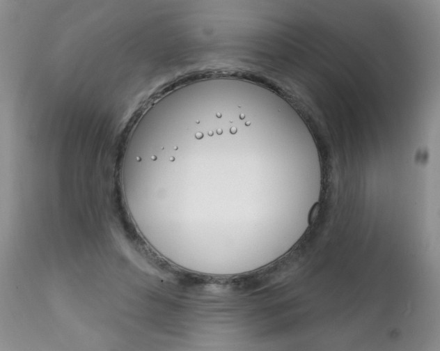 X0000111130496200906301109