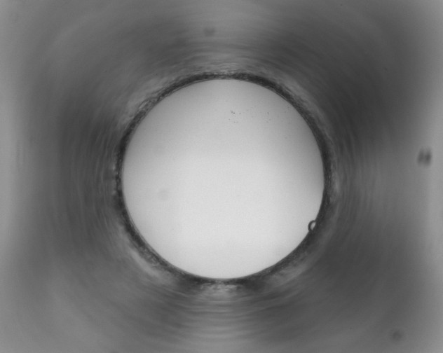 X0000111130497200906301109