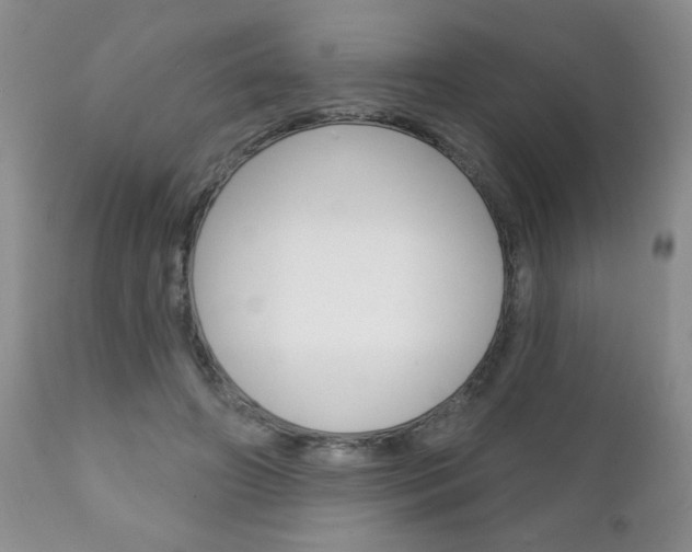 X0000111130498200906301109