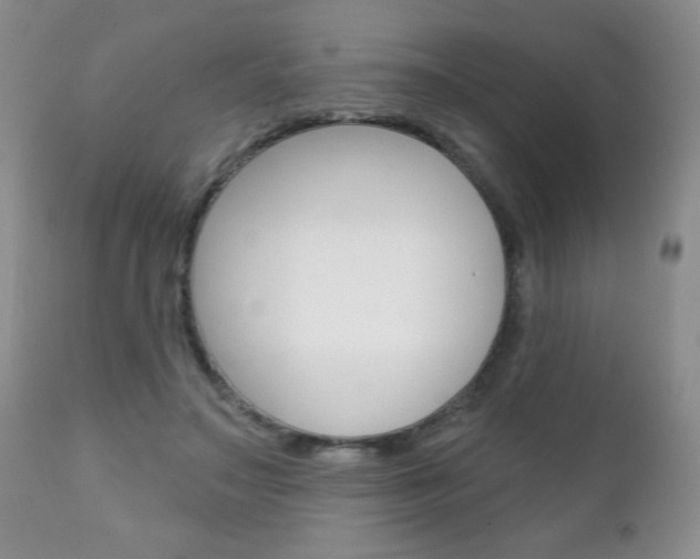 X0000111130499200906301109