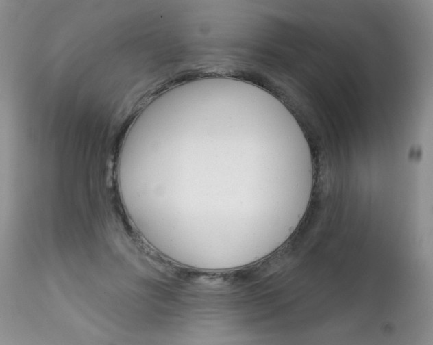 X0000111130502200906301109
