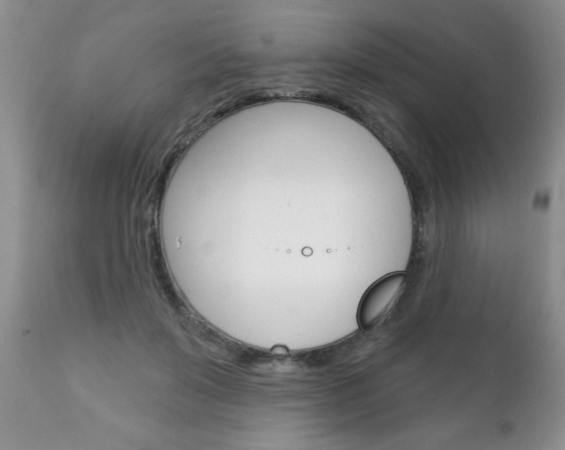 X0000111130503200906301109