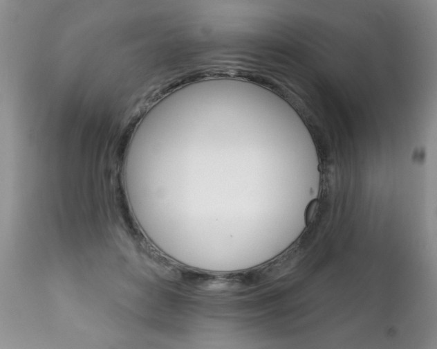 X0000111130504200906301109