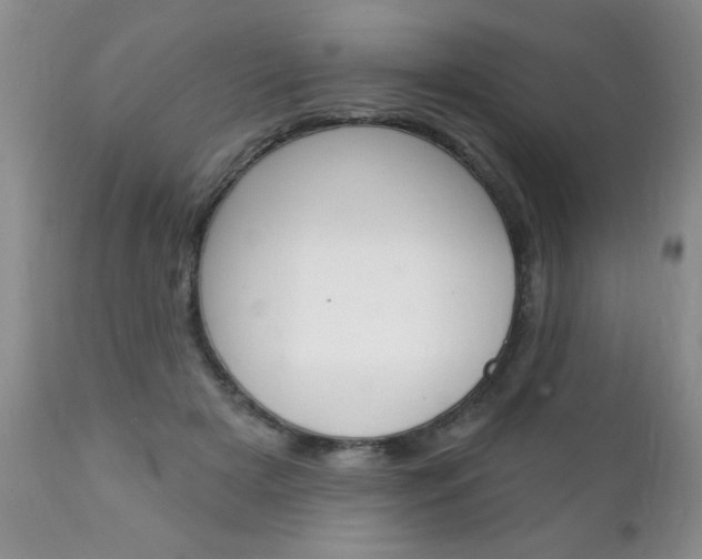 X0000111130505200906301109